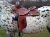 Westernsattel Garland ( Finest Quality 