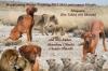 Mahbuba Rhodesian Ridgeback    A-Wurfplanung Winter/ Frühling 2012/ 2013