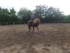 lieber friese mix