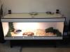 Boa c.c. Inkl Kunststoffterrarium 180x70x70