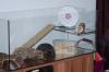Naggerterrarium 1, 00m x 0, 4m plus Etage: 0, 24m x 0, 4m