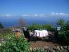 Finca Sabina Teneriffa 