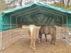 Stallzelt,  Weidezelt,  ganzjährig einsetzbar,  unterschiedliche Größen