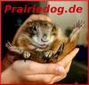 www.prairiehunde.de