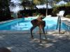 der besondere Urlaub in nobler Privatvilla