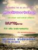 MUSIKWORKSHOP 1. - 12. 10.2013 SIZILIEN