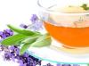 Fachkraft - Gesundheit und Wellness (m/ w)