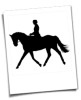 Mobiler Reitunterricht /  Beritt /  Einreiten junger Pferde