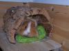 Unterstände für Meerschweinchen,  Kleintiere,  verschiedene Größen