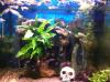 Aquarium 80 Liter mit Filter,  Pumpe & Zubehör