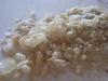 Pure mdma, methylone, apvp and others for sale