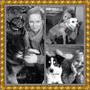 Hundebetreuung mit viel Erfahrung & Liebe.Hundesitting,  Hundesitter