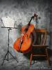 Cellounterricht,  Cello Musikunterricht,  Cello Privatunterricht