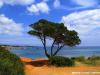 Ibiza,  DZ HP Flug ab 370 €
