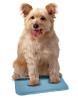 Snugglesafe Kühlkissen,  Cool Pad für Haustiere,  Hunde,  Katzen,  Kleintiere,  Meers