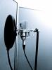 Voice/ Vocal Coaching,  Stimmtraining undGesangsunterricht (deutsch/ english)