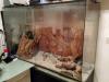 großes Terrarium,  Unterschrank und viel Zubehör (Spezialanfertigung) 150x60x165