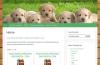 marp Hundefutter - getreidefreies Hundefutter