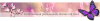 Wir suchen SIE als Verstärkung für unser Beraterteam bei Sybella