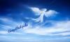 www.angelhelp, de Das Portal der Neuen Zeit