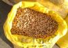Pellet aus Sonnenblumenschalen
