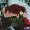 Rivana /  15 Minuten /  0, 00 € /  Kartenlegen /  Hellsehen /  