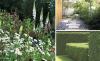 Garten-,  Grundstückspflege
