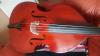 Kontrabass Gewann pure 1/ 2