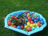 Timo s Hundeschule