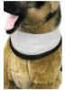 Kühlhalsband/ Kühlhalstuch für Hunde,  verschiedene Größen zur Auswahl
