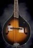 Gretsch G9311 NY Supreme A/ E Mandoline