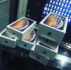 Großhandelspreis Apple iPhone XS Max,  XS,  XR,  X,  8 Plus,  Banküberweisung