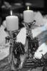 Hochzeit---ein Traum wird wahr---