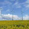 Freiflächenpacht für Windkraftanlagen – Bundesweit Freiflächen für Windkraftanla