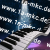 Musiker Bands Showkünstler