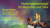 Heilphasenenergie für Menschen und Tiere