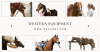 Westernreitsport Equipment