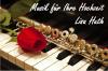 Musik für Ihre Hochzeit- Gesang,  Klavier oder Querflöte
