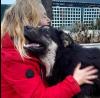 Milow - notfellchen sucht passendes Zuhause
