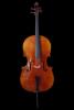Cello 4/ 4 Montagnana Modell