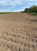 Gemüsegarten Garten Acker Selbstversorger Feld zur saisonalen Pacht