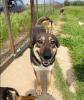 jenny sucht ein passendes ZUhause