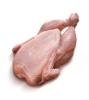 Hühner-Karkasse einzeln verpackt im Karton. FARRIA. Gewicht 0, 7 - 2, 5 kg.