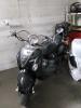 verkaufe meinen 50ccm Roller luxxon cruiser! Kilometerstand: 5730!
