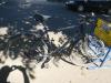 (10) 24 Gang 28 Zoll Rh 54 Diamondback