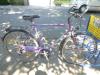 (158) 21 Gang 28 Zoll Rh 56