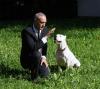 Private Hundebetreuung /  Dog Sitting