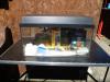 Aquarium mit viel Zubehör,  Sonderaktion 07.06.2025,  70 €.Nr. 68