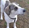 Zoi sucht ein passendes Zuhause