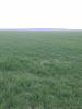 Ukraine,  Bauernhöfe ab 100 ha,  Oblast Zhytomir,  Region Nowograd Wolynski